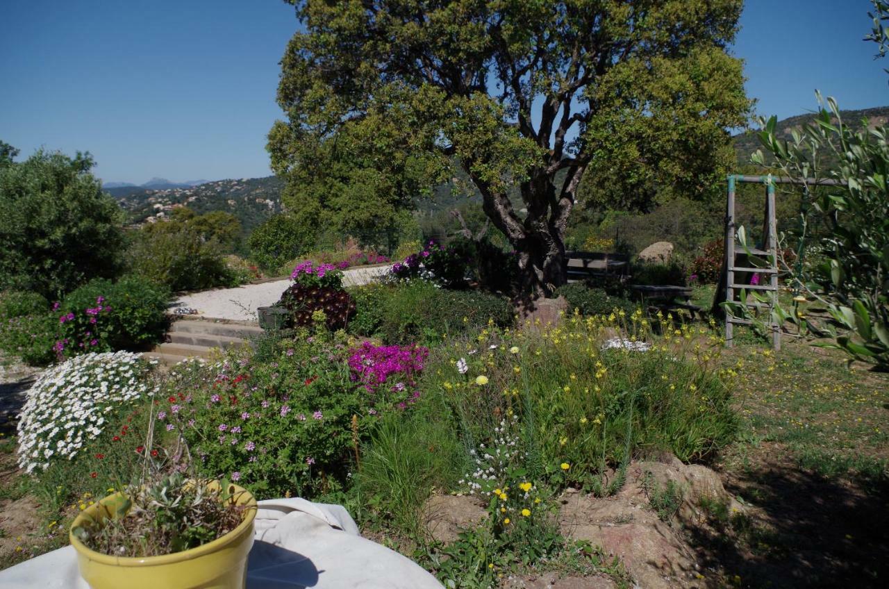 Coustelline Le Lavandou Exterior foto